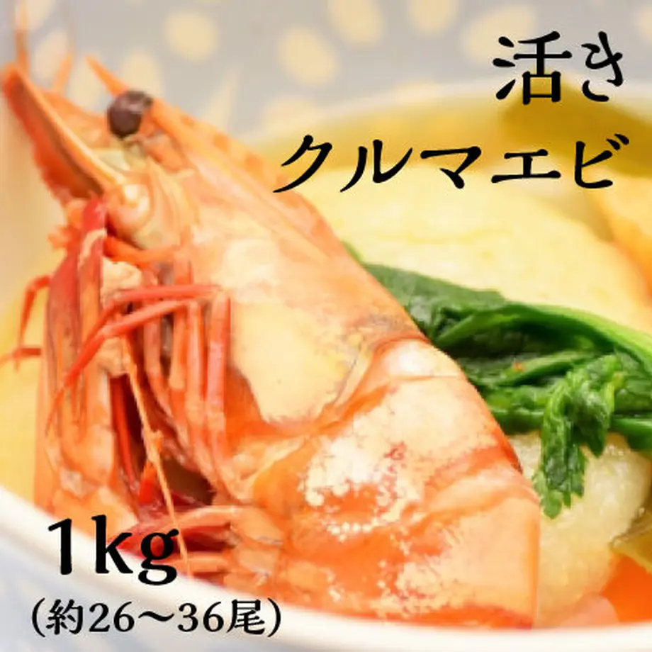 5fd6cffadf51597222950827
