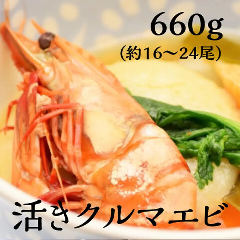 5fd329ae8a45722e31444194