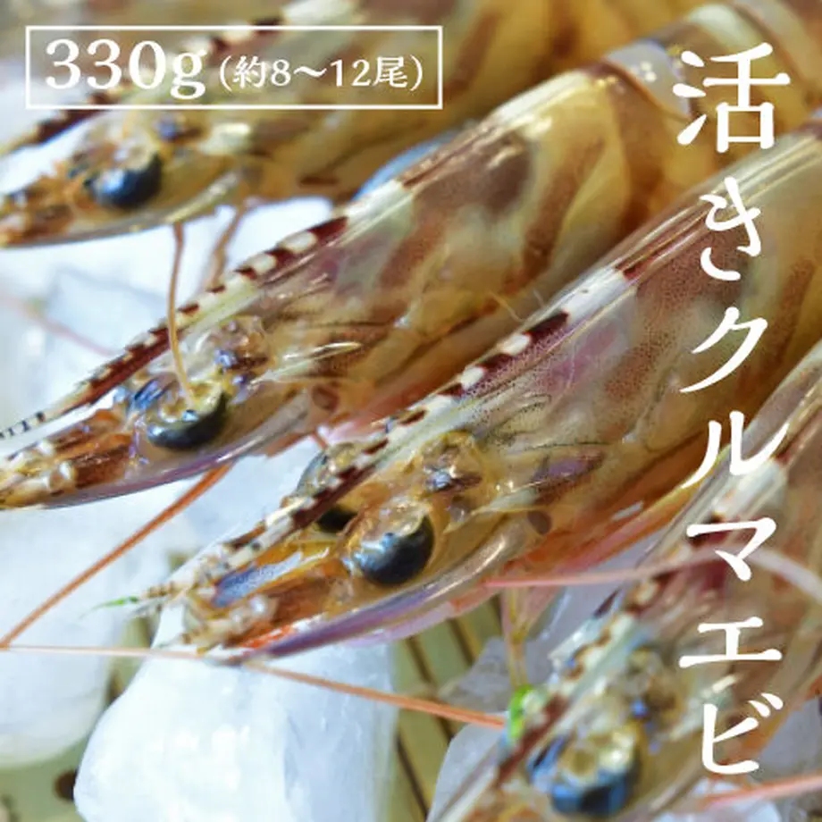 5fd31cfe8a45724b78444a30