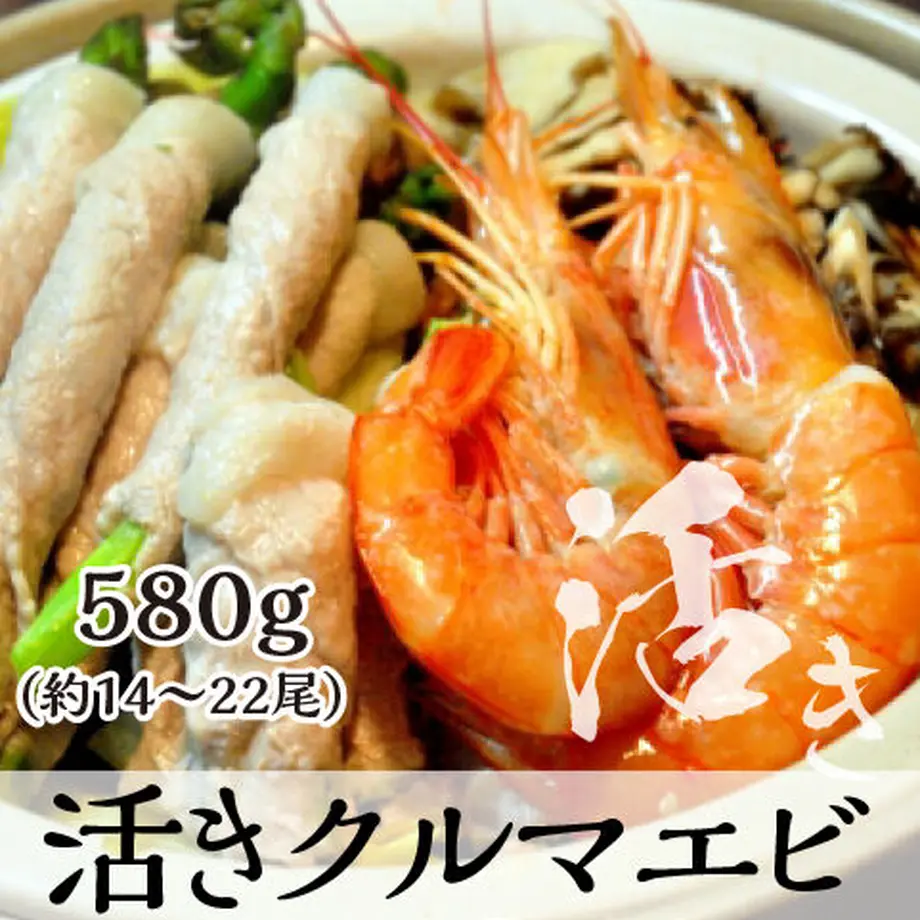5fd326c172eb4641a1d4b492
