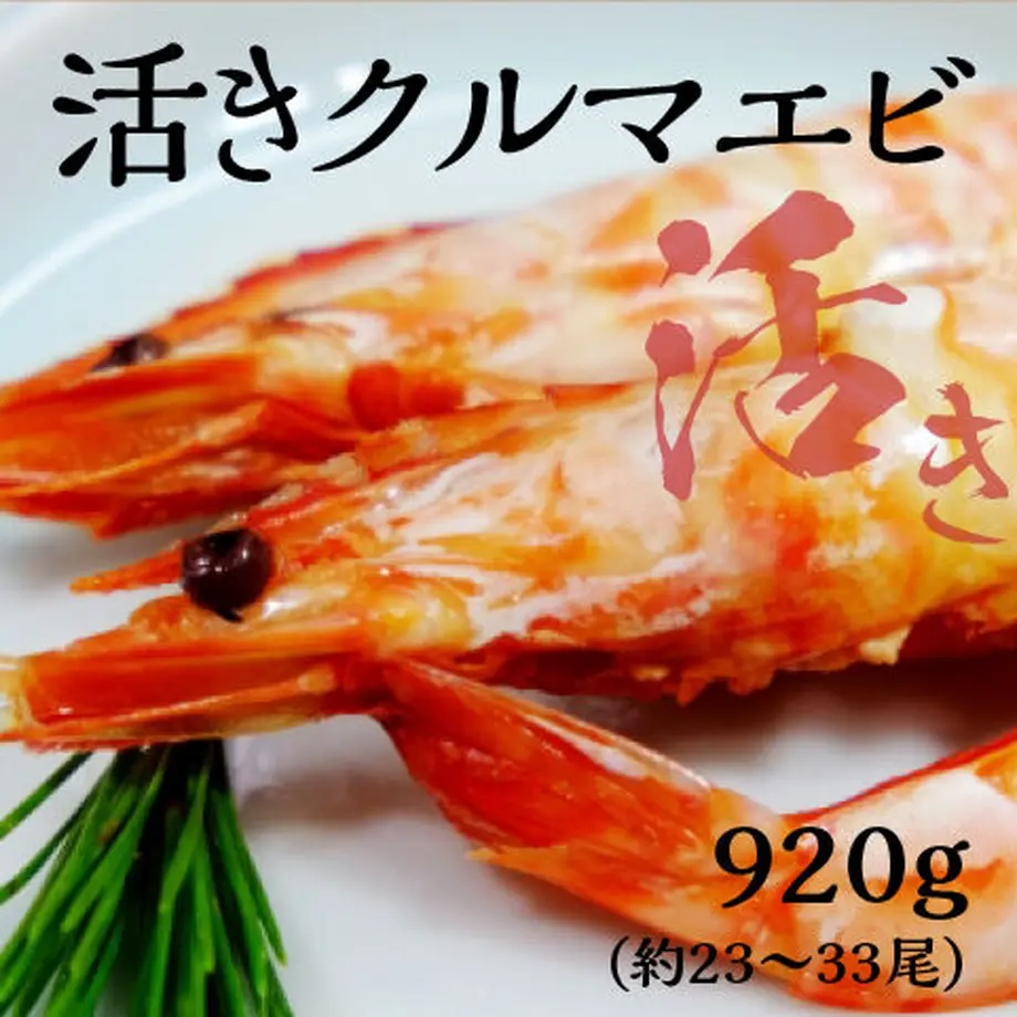 5fd6ce3ddf5159666b950097