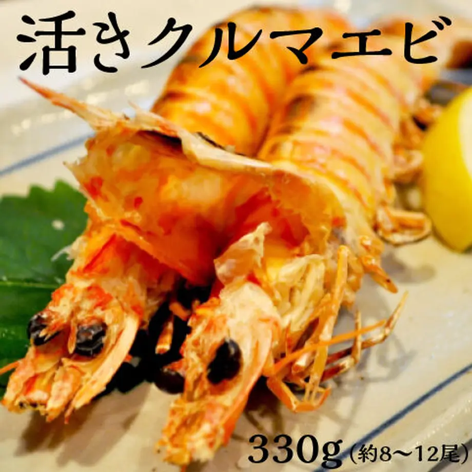 5fd31cfe8a45724b78444a30