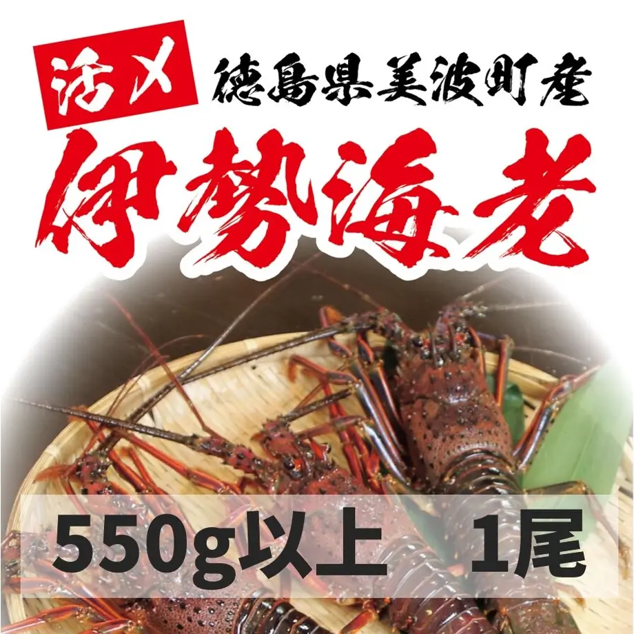 626a3138b049a325424fde42