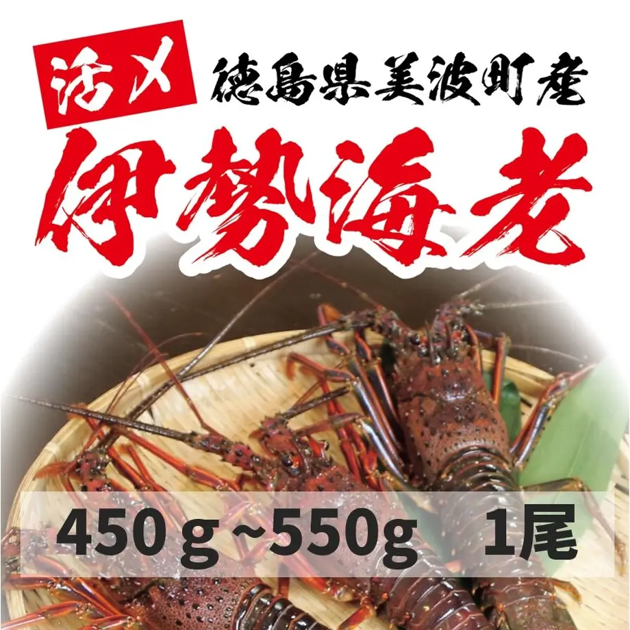 626642751d6b103c6241e4e1