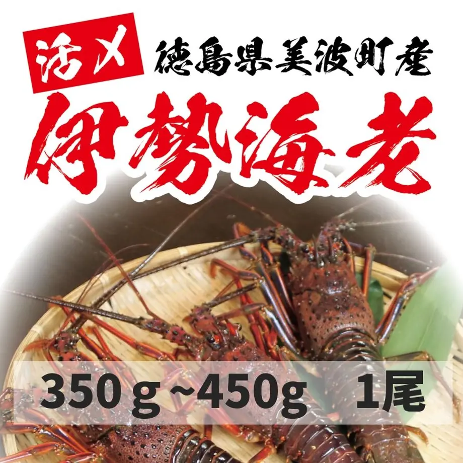 6266430ab5285a4a3b3b276d