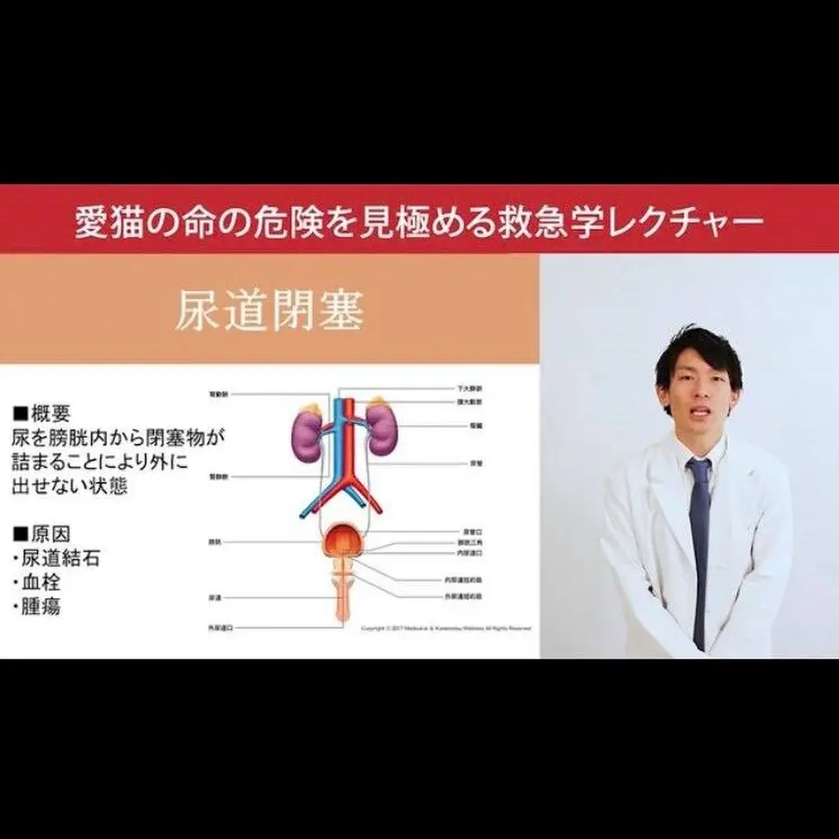 609e335450a48a4ed6103072