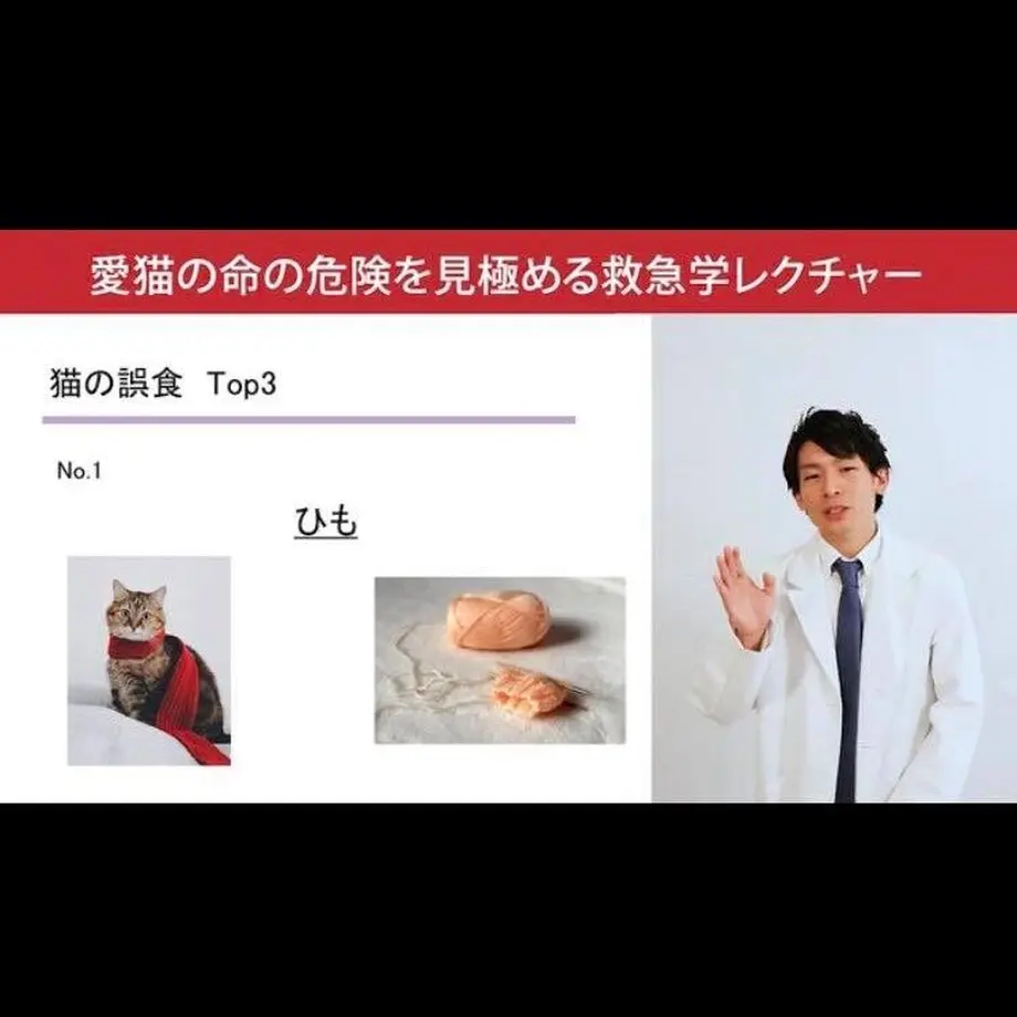609e335450a48a4ed6103072