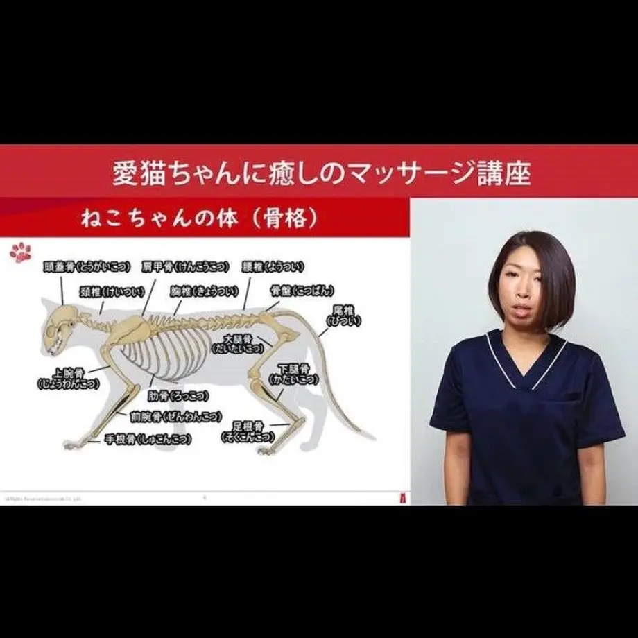 609e40659a5b755292c0042e