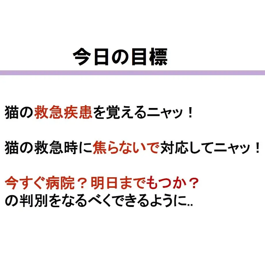 609e335450a48a4ed6103072
