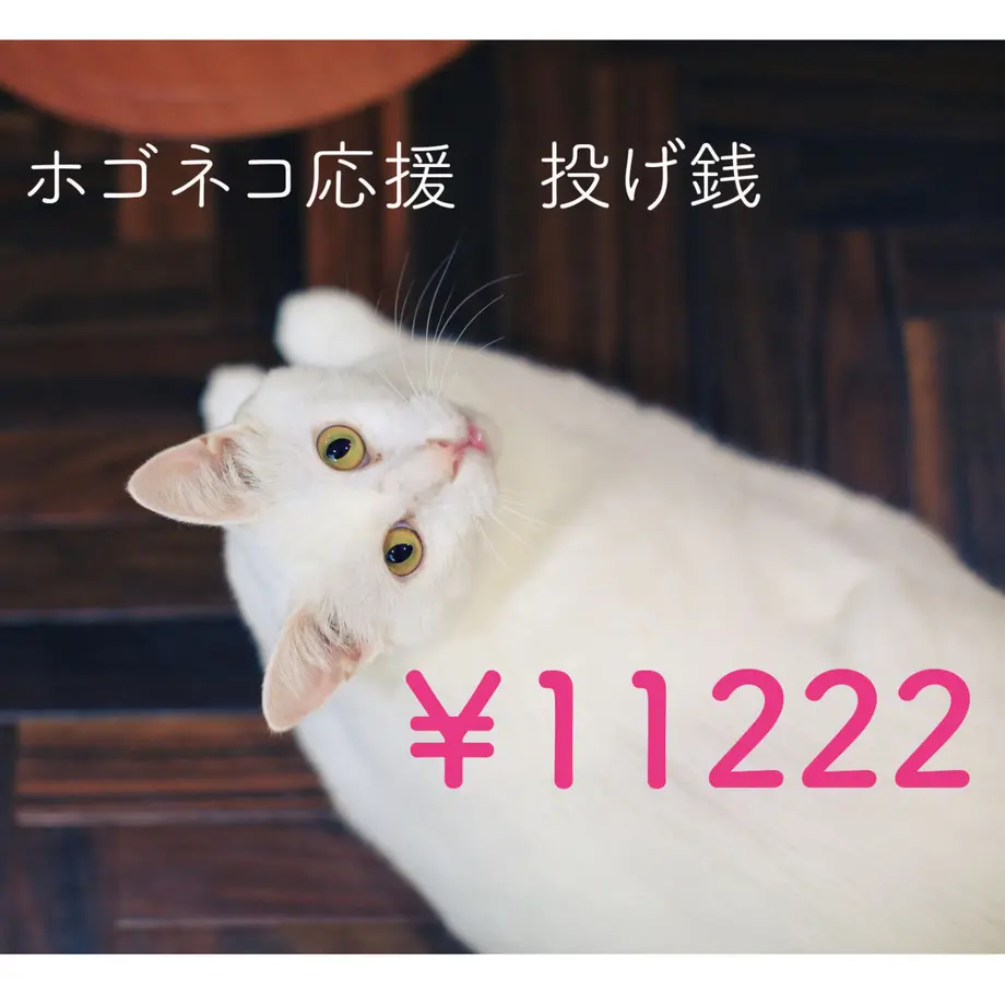 5eabeea3cee9ea1f55973e90