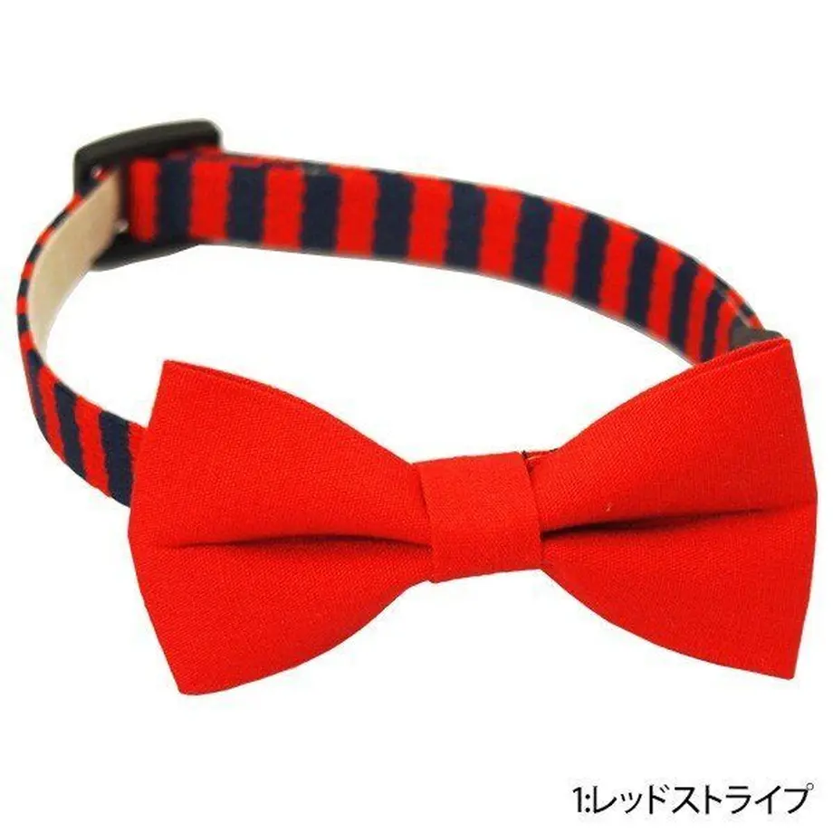 5c7cab3c6a41ea27cf8fcc33