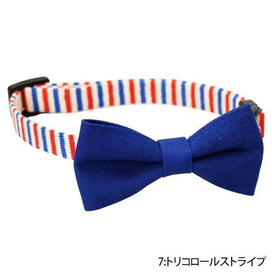 5c7cab3c6a41ea27cf8fcc33