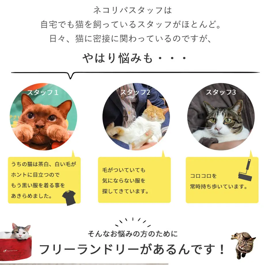 5c86141eaa5f447a3cc9d63d