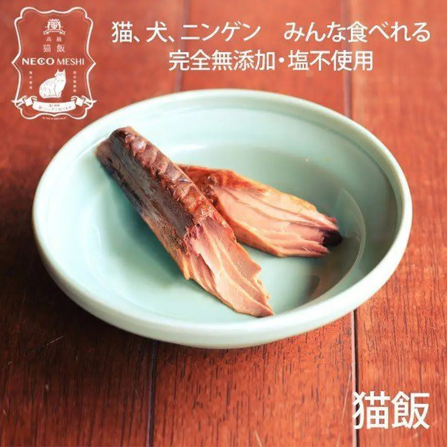 5c7cc47ce0c022561912ae48