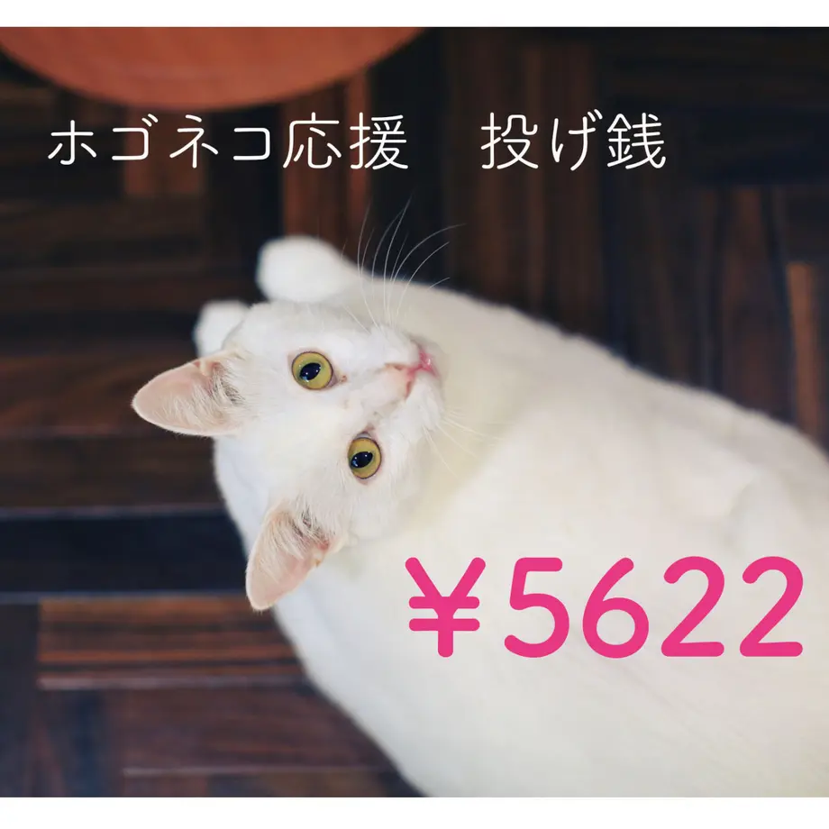 5eabee7a51576229d680c2a9