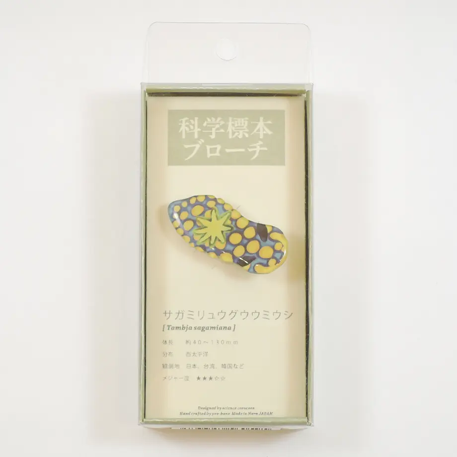 5ebbbfc572b9117aec05454c