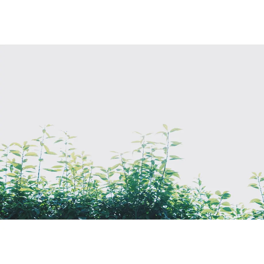5eb2f5fdcee9ea55a1110f00