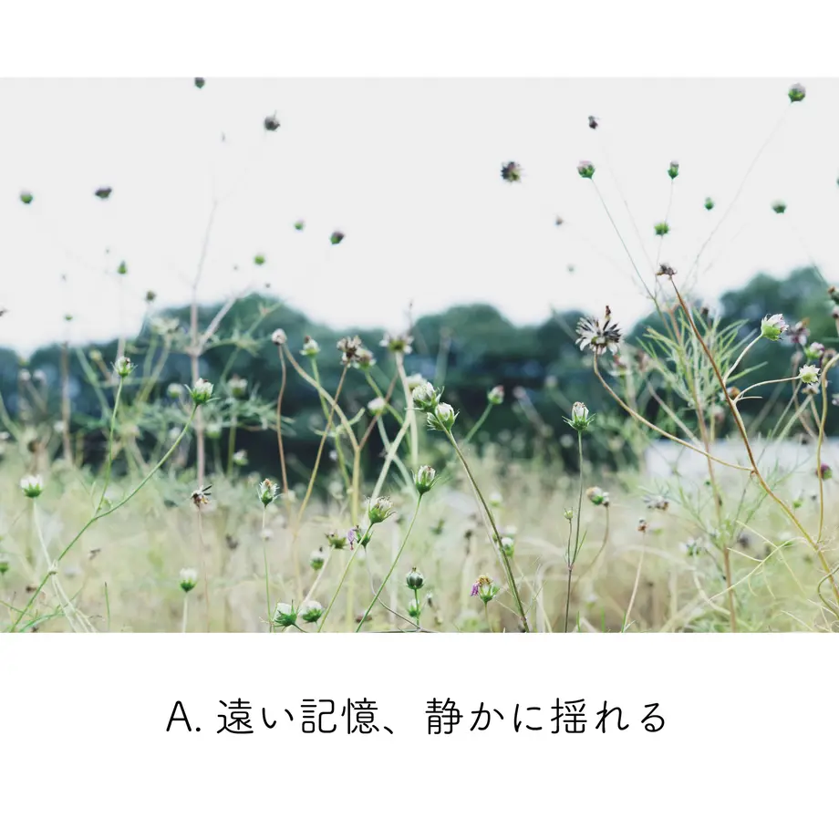 5eb2f5fdcee9ea55a1110f00