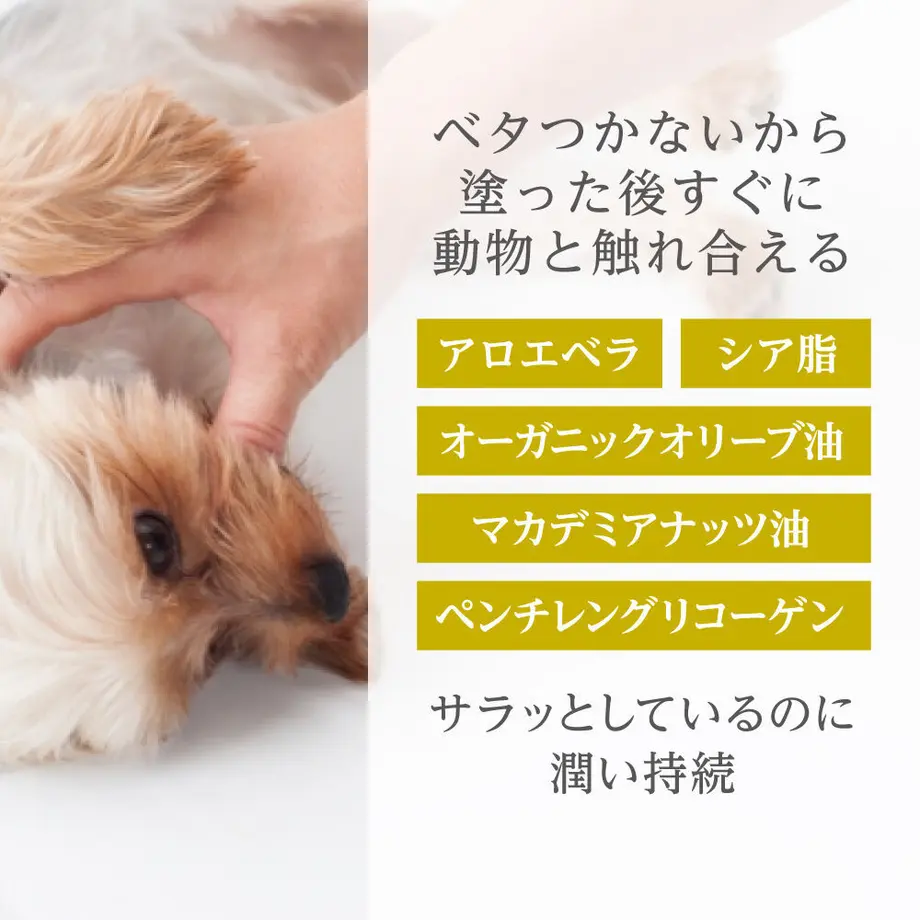 608e2e92df62a9454ba6f8f3
