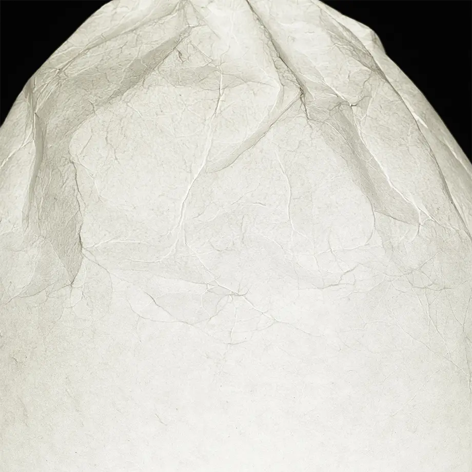 60097974935fcc5d90946565