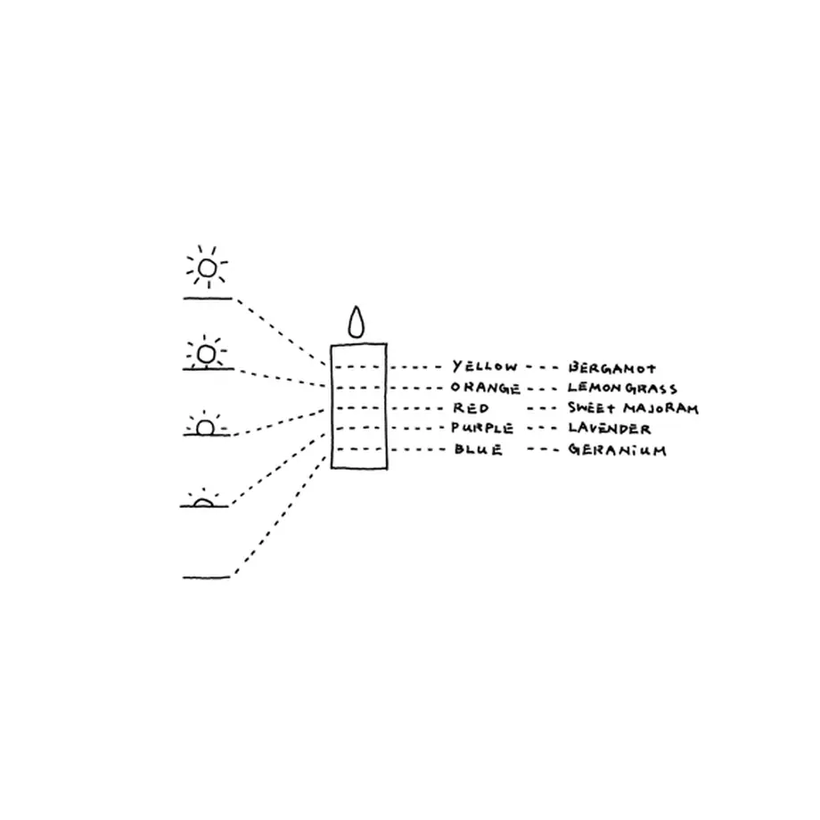 60097968935fcc5d90946516