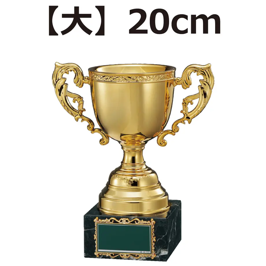 5ea78a7255fa032fcc7155c6