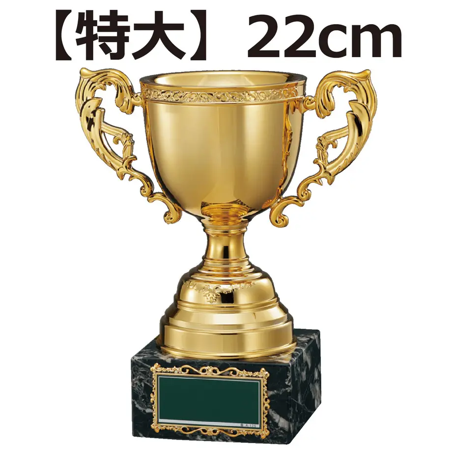 5ea78a2755fa037426715ac8