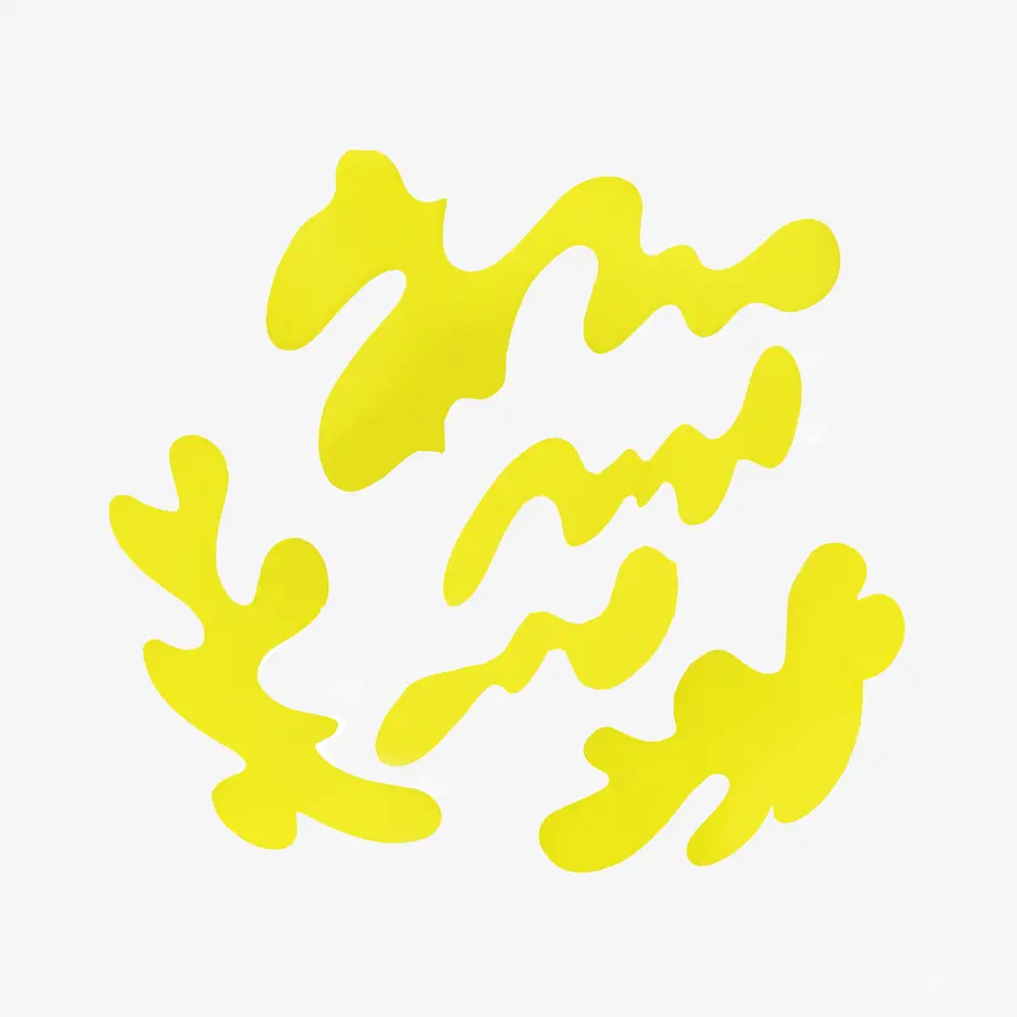 5d7b4a6f8606483dcfaa9cbf