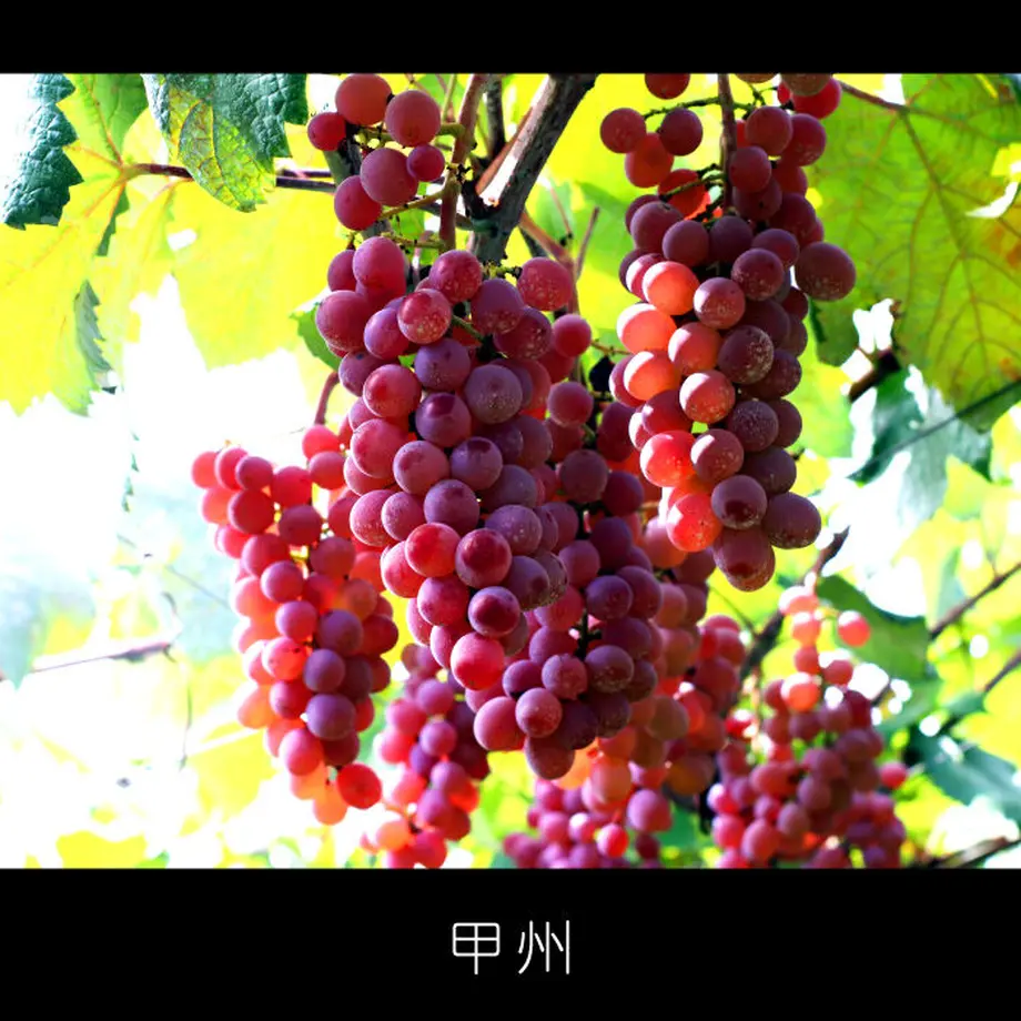 61f3c7ee81dbb5084dc16ad5