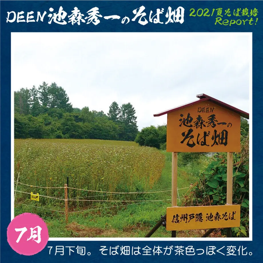 61136a6ba92a787361c71abe