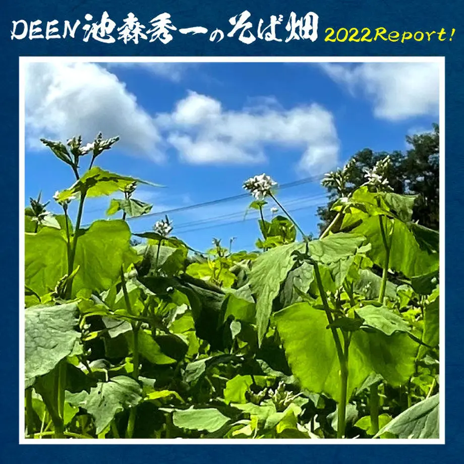 6369a956f3de5c5e84fe54b0