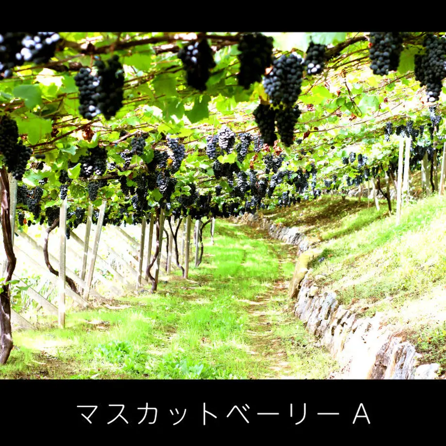 61f3cb66113ce056083dbac6