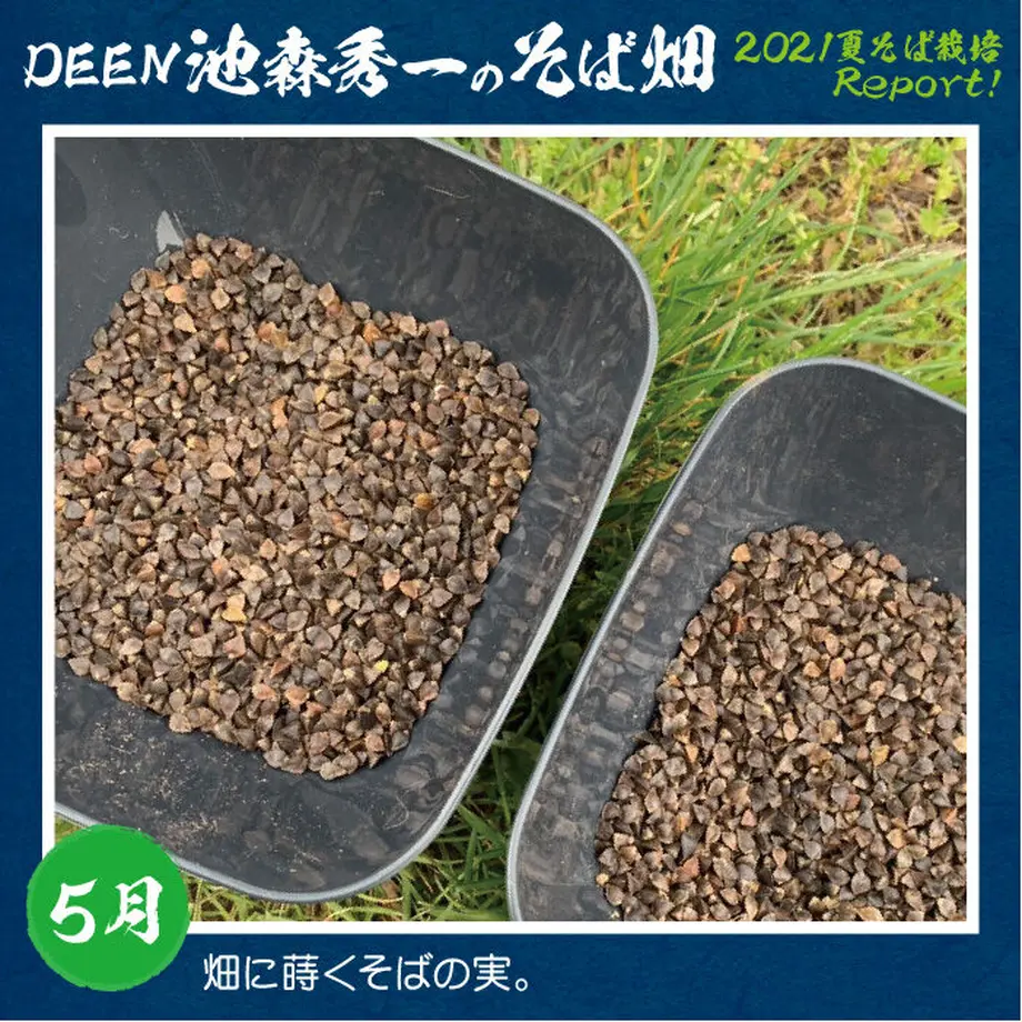 61136a6ba92a787361c71abe