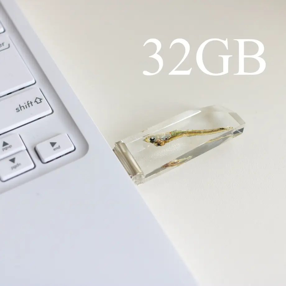 60179f9bc19c451152fbae3f