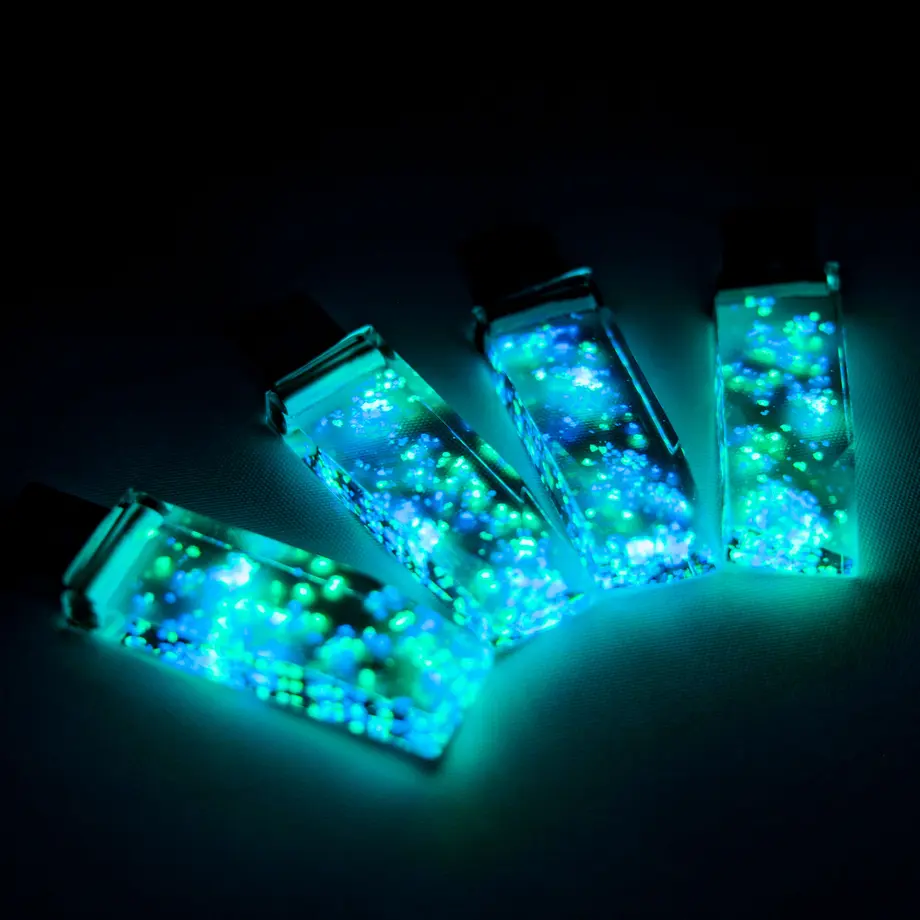 5fb8fda972eb4619613ee46b