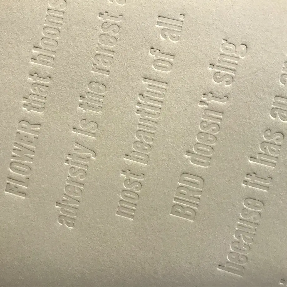 5e7ea329e20b04227bdcb6e8