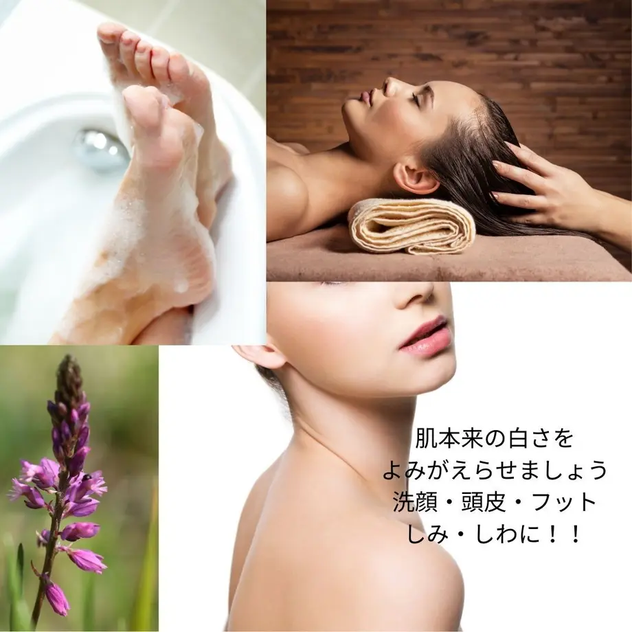 60485795aaf04331209477f0