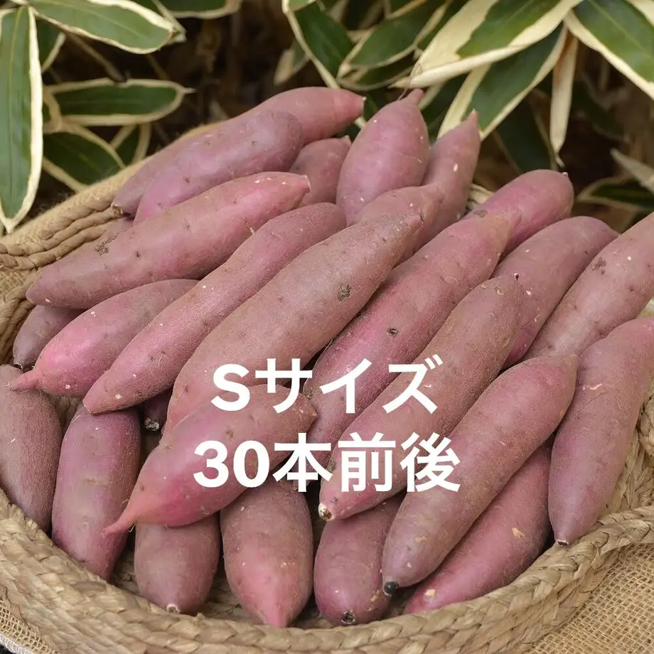 622b26fc047a9d0b61c76c4c