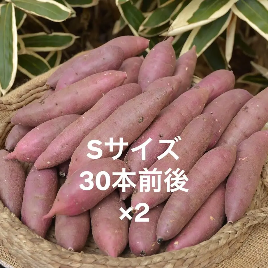 622b3dcc30344b1b803d2374