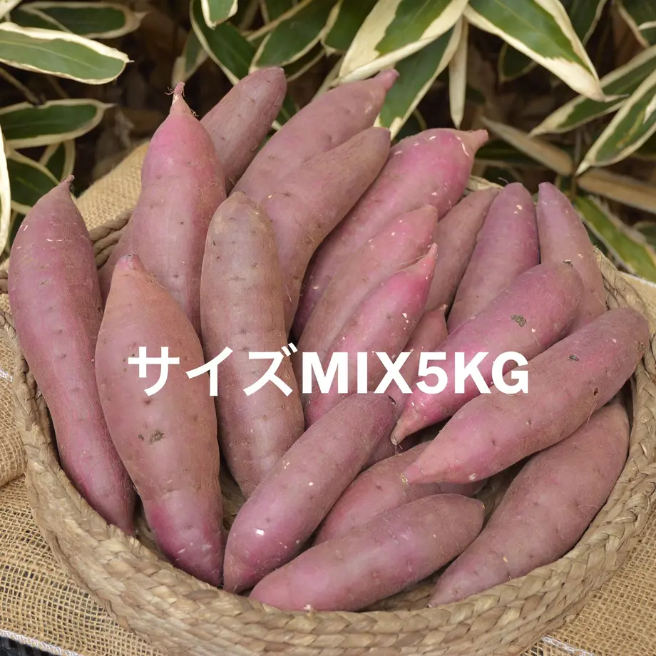 622b1e669a706273fe554cbe