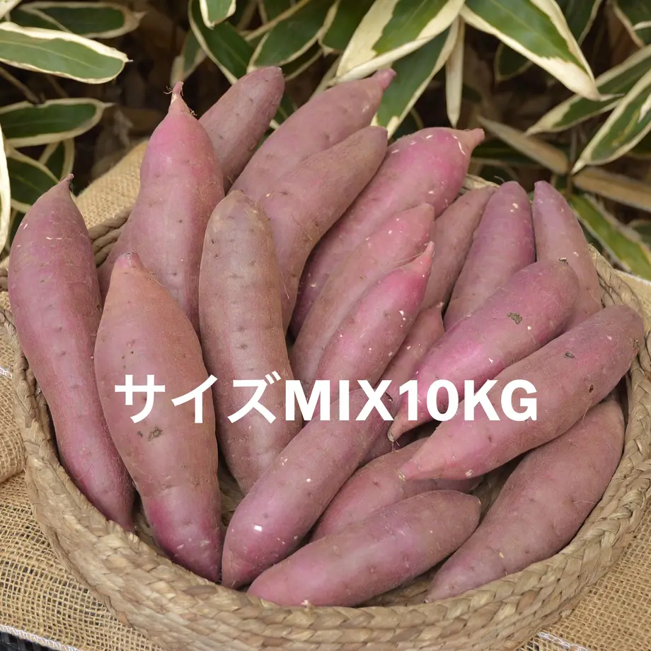622b3e41d085ee77c5137727