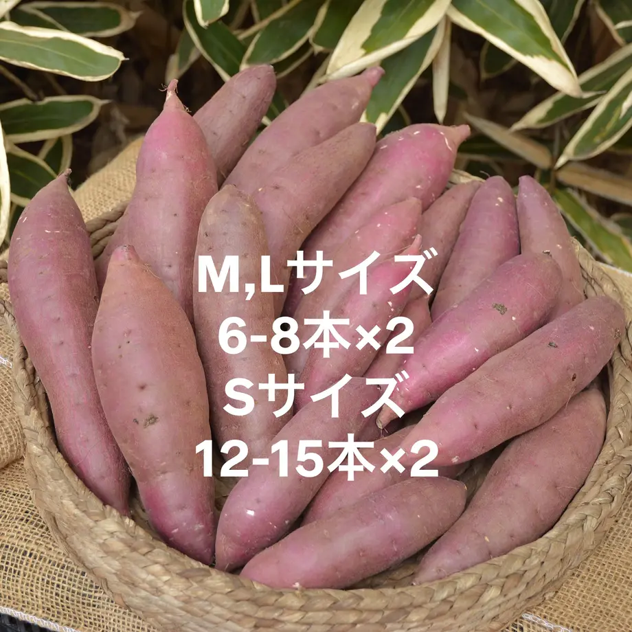 622b3e41d085ee77c5137727
