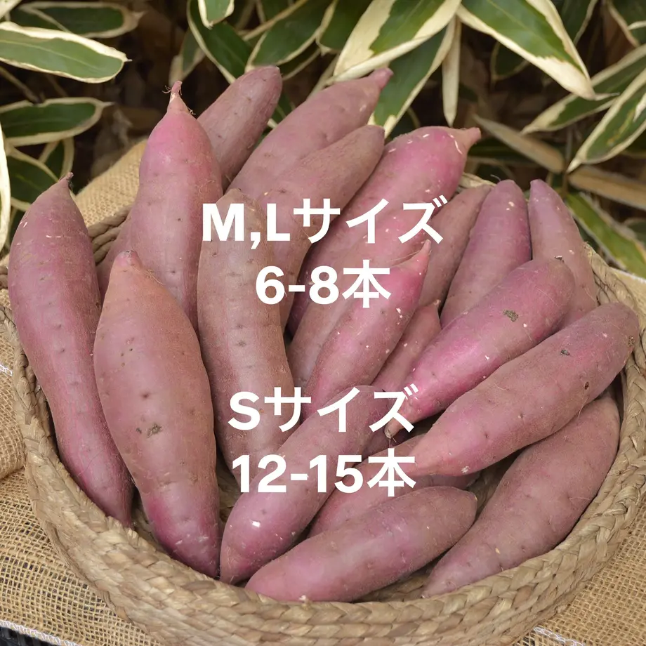 622b1e669a706273fe554cbe