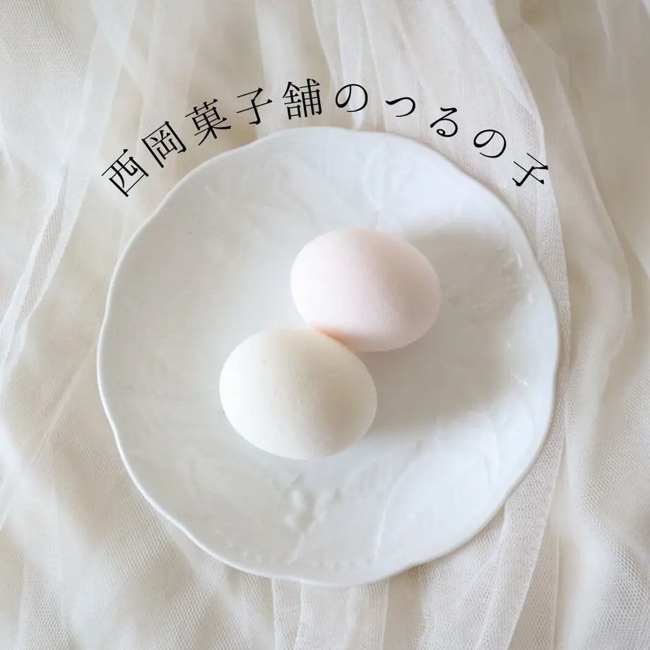 5f77216d8f2ebd75031a8734