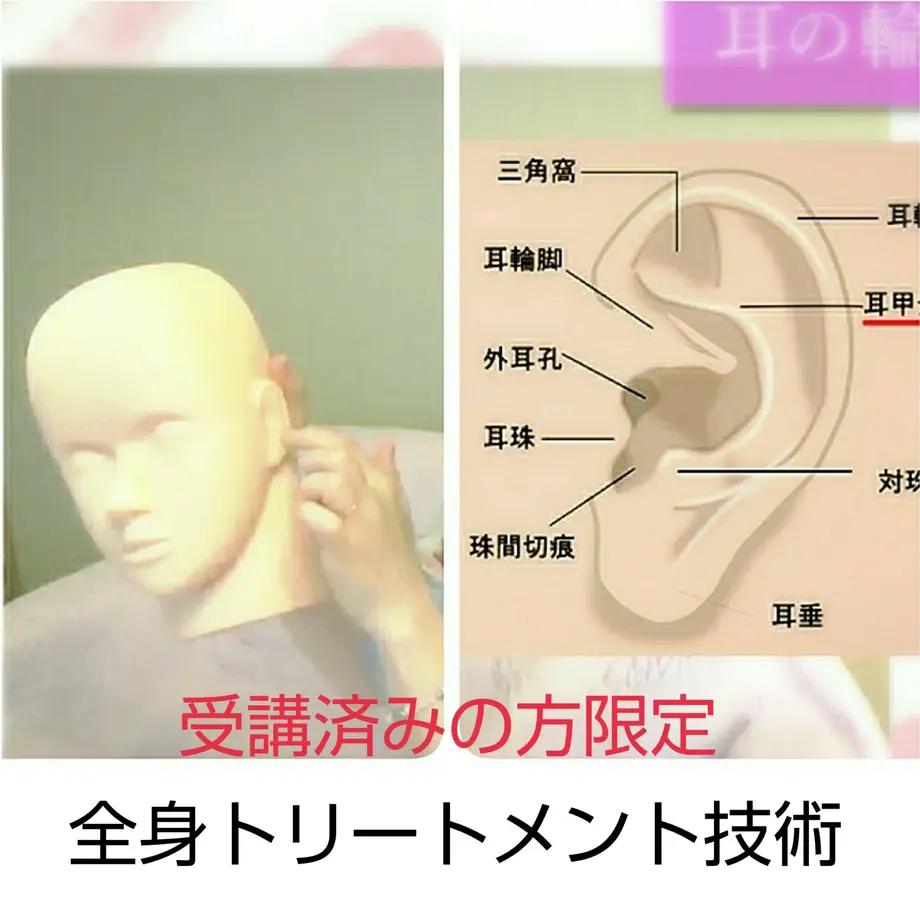 5ef42387d26fa54eacf2e380