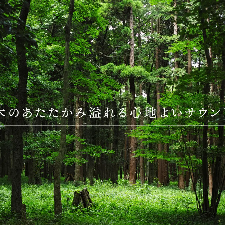 60f9a9397291344ee6a3f3bf
