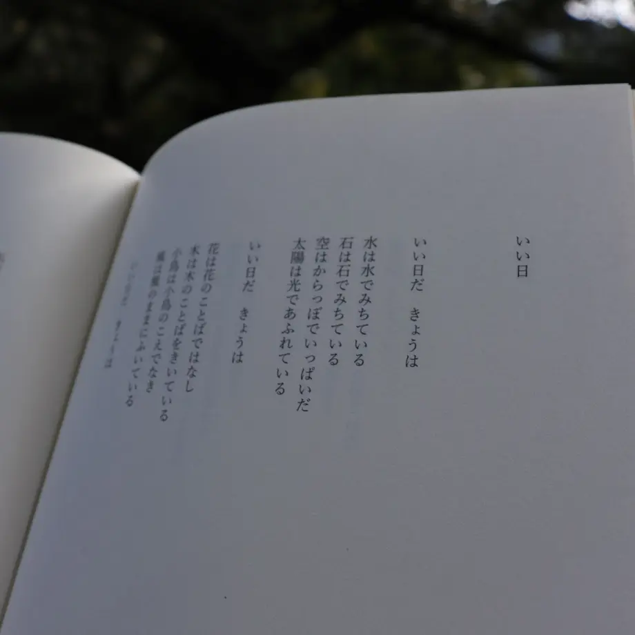 5f5679e29d284218ddf4df1a