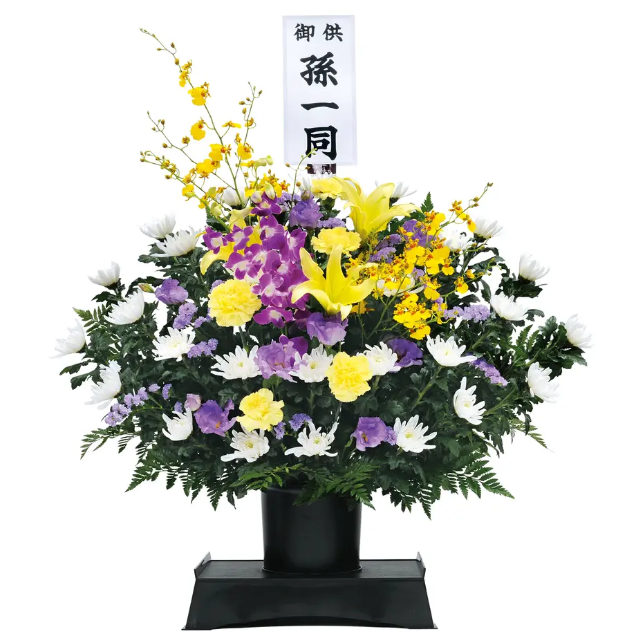 5a65483a3210d548db00006f