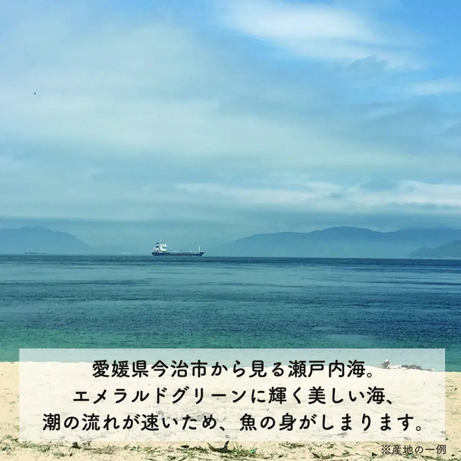 5ace5b48434c725dbd000728