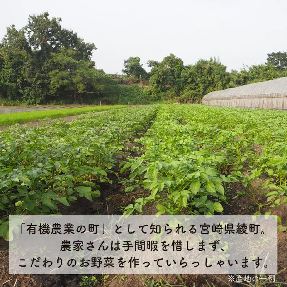 5d9bf500745e6c291bdd4814
